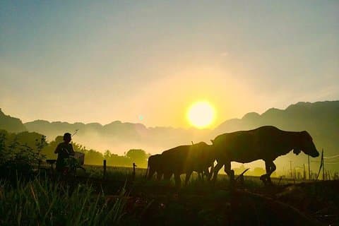 2-dagers Mai Chau Valley Tour fra Hanoi