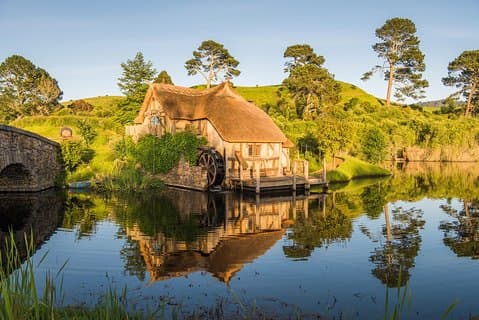 Auckland à Rotorua via Hobbiton en petit groupe (aller simple)