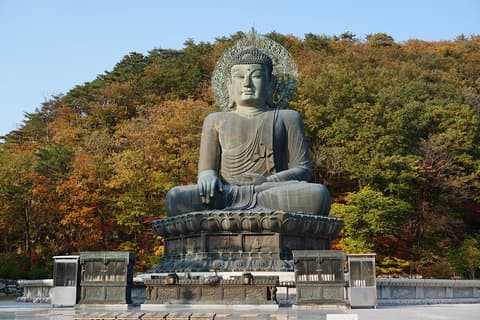 [Premium Private Tour] Mt Seorak & East Sea eller Nami island fra Seoul