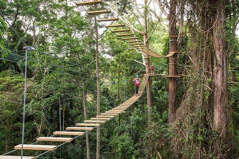 Sunshine Coast High Ropes and Zipline Adventure Park