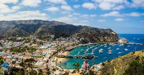Viagem de um dia à Ilha Catalina saindo de Los Angeles com upgrades opcionais