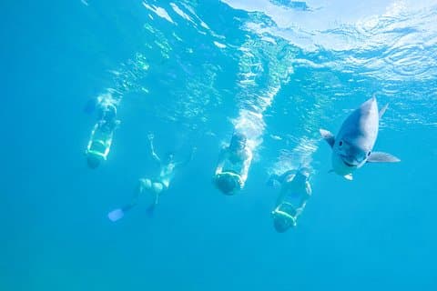 Los Cabos Power snorkel Adventure, Kayaking and Stand-Up Paddle