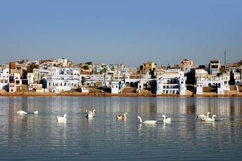 From Jaipur: Pushkar Self-Guided Day Trip