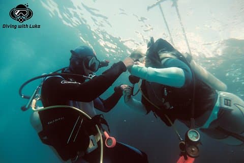 Full day diving with private guide, lunch drinks transportation
