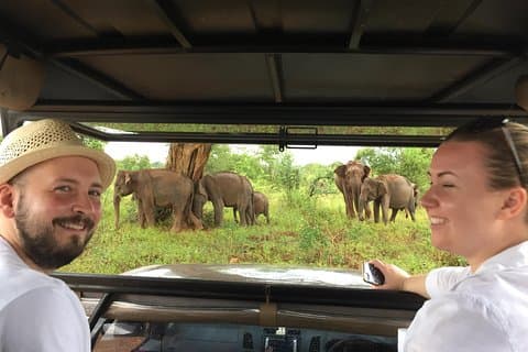 Udawalawe safari with Elephant transit home