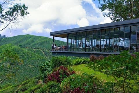 Full Day Cameron Highlands Nature Tour