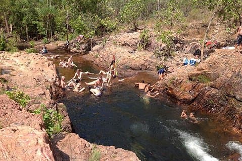 Litchfield National Park and Jumping Crocodile Cruise
