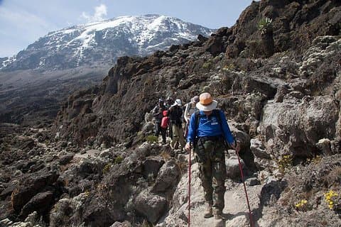 Viagem de um dia ao Monte Kilimanjaro Caminhada de Arusha ou Moshi