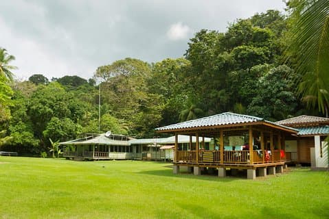 Corcovado-Nationalpark von Manuel Antonio an einem Tag