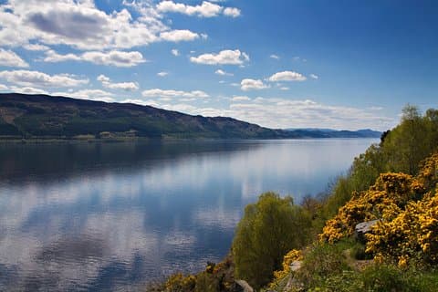 Dagstur til Loch Ness og det skotske høylandet på spansk