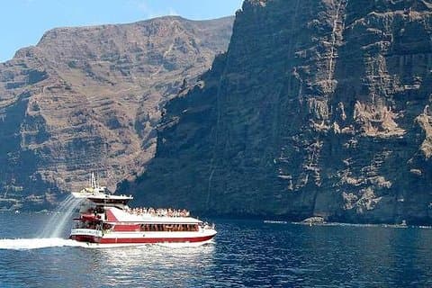 4'5 - Stunde Königliche Delfin- und Walbeobachtungstour auf Teneriffa