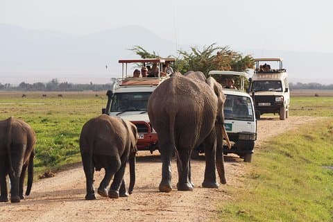 4 Tage Amboseli, Tsavo West Tsavo East Luxussafari (MINDESTENS 2 PERSONEN)