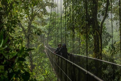 Arenal vulkan vandreture + La Fortuna vandfald + frokost + hængende broer