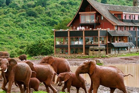 Safari privato di 6 giorni ad Aberdares, Lago Nakuru e Masai Mara Wildlife