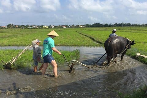 Hoi An Countrylife Tour Experience & Vietnamesisk menu