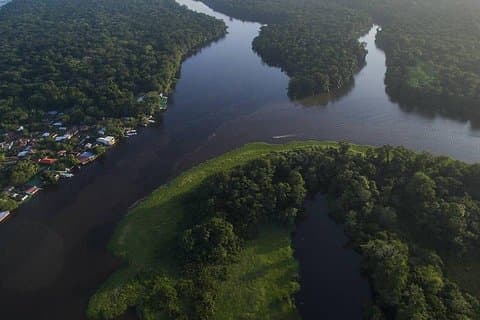 TORTUGUERO THE MOST POPULAR：カヌーとナイトツアー（7月～10月のカメ）