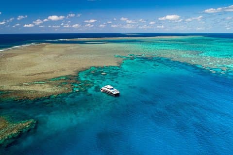 Calypso Outer Great Barrier Reef Cruise from Port Douglas