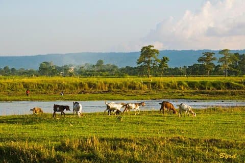 6 dagar Chepang Village Homestay Hill Hike