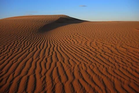 Gobi Tour maj 2019 02-07 juni