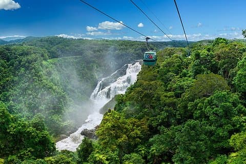 Skyrail Rainforest Cableway Day Trip from Port Douglas