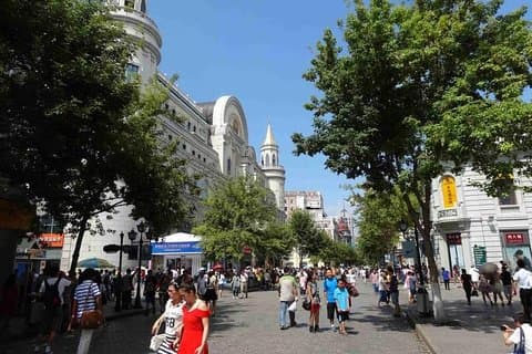 Harbin City Walking Sightseeing