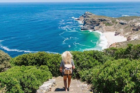 Excursión de un día completo a la península del Cabo y las rocas con traslado privado