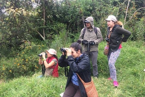 Excursão privada de observação de pássaros no Parque Natural Chicaque