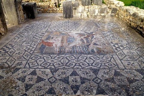 Volubilis and Meknes: Private day trip from Fez with Hotel pick up
