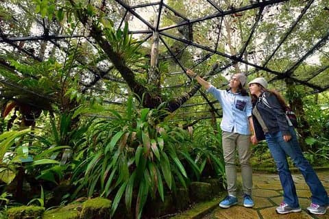 Tour del Parco Nazionale di Kinabalu