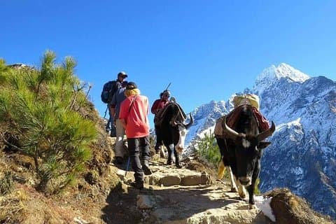 14 dagars Everest Base Camp Trek från Katmandu (All Inclusive)