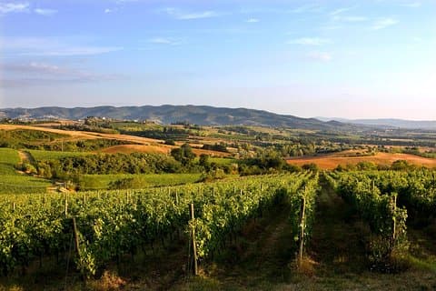 Visita ao Museu do Azeite e do Vinho com almoço e visita guiada a Assis