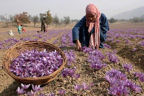 7 Days Romantic Kashmir Honeymoon Package with Houseboat Stay