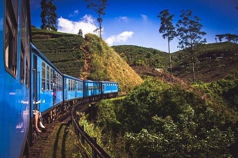 Sri Lanka Paquete turístico de 7 días – Costa Sur y Tierras Altas