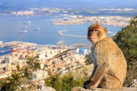 Private exclusive tours from Malaga and Marbella to Gibraltar