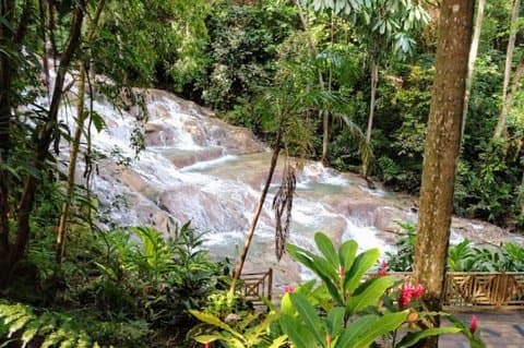 Dunns River Falls und Bob Marley Nine Mile Private Tour