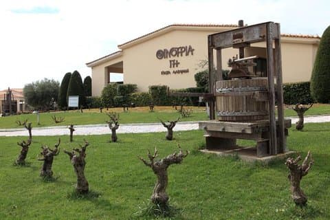 Private 4x4 Wine Tour from Athens to Marathon Lake and a Winery