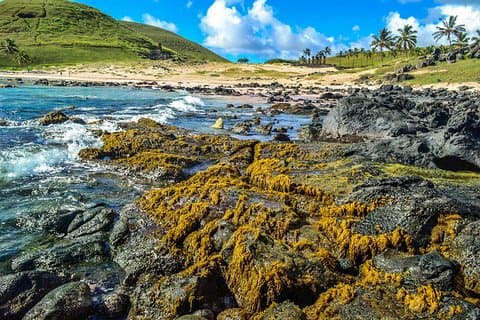 Rapanui Origins: Full Day Private Tour