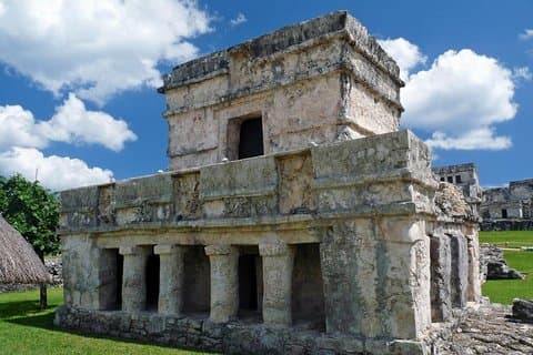 Tour privado: Tulum nadando com tartarugas e cenote selvagem na selva