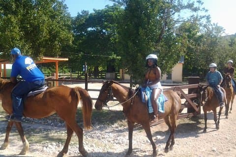 Ziplining zu Pferd und Dunn's River Falls Abenteuer von Montego Bay,