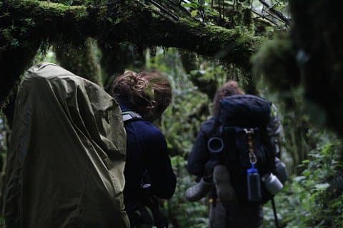 トリマン火山ハイキング