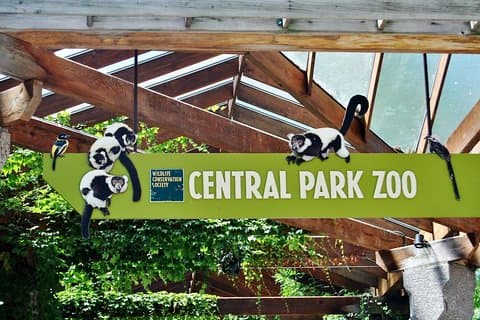 30のトップニューヨークの名所（ウォーキングツアー）を見る＆セントラルパーク動物園をご覧ください。