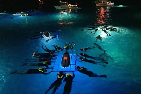 Billeder af Big Island Manta Ray Night Snorkel