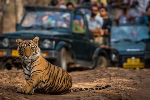 Golden Triangle Tour with Ranthambore (5 Star Hotel)