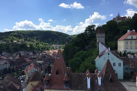Private 2 - Day Transylvania Tour fra Bucharest: Bjørner og slott