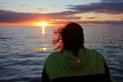 Avistamiento de ballenas del sol de medianoche desde Reikiavik