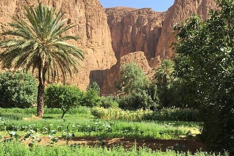 Dags tur til de tre dale fra Marrakech