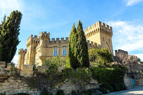 Experiencia intensiva de viñedos y vinos finos en Châteauneuf Du Pape