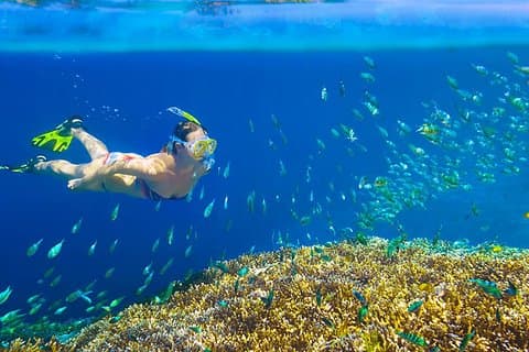 Excursion privée de plongée en apnée de 3 heures avec visite de l'arche et plage