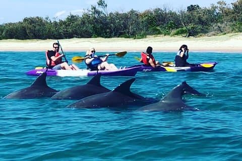Gold Coast: Morning Kayak & Snorkel Adventure com pequeno-almoço