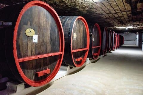 Azienda vinicola Cricova - Vecchio Orhei e monastero rupestre